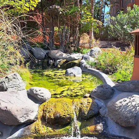 Casa Lucia Эль-Пальмар