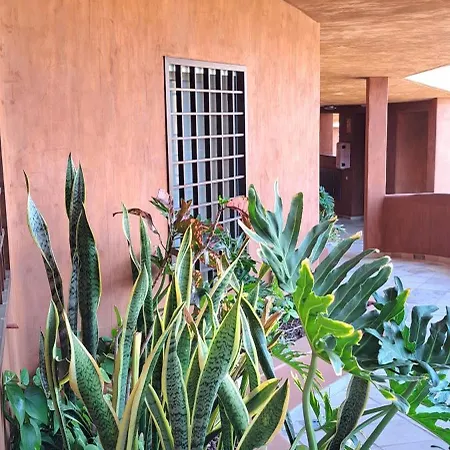 Casa Lucia Эль-Пальмар